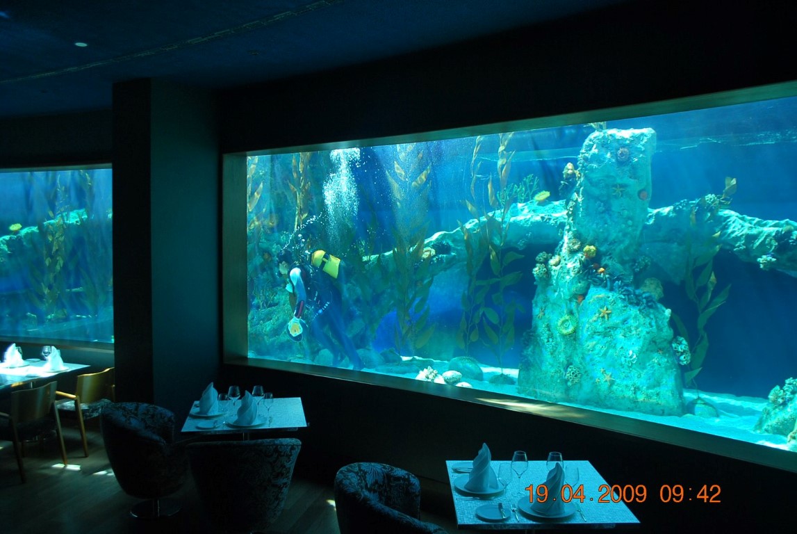 imagini hotel MARDAN PALACE